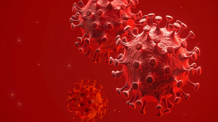 Koronavirüs Korkusunu Yenmek İçin 10 Öneri