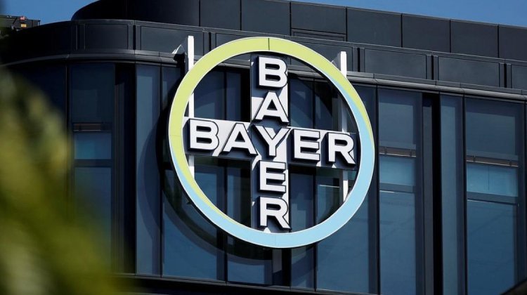 Bayer Girişim Haritasını Yayınladı